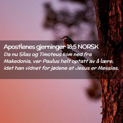 Picture 02 - Apostlenes gjerninger 18:5 NORSK - Da nu Silas og Timoteus kom ned fra Makedonia, - Bible Verse Picture