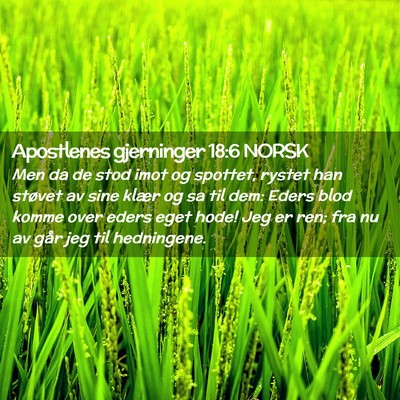 Picture 02 - Apostlenes gjerninger 18:6 NORSK - Men da de stod imot og spottet, rystet han - Bible Verse Picture