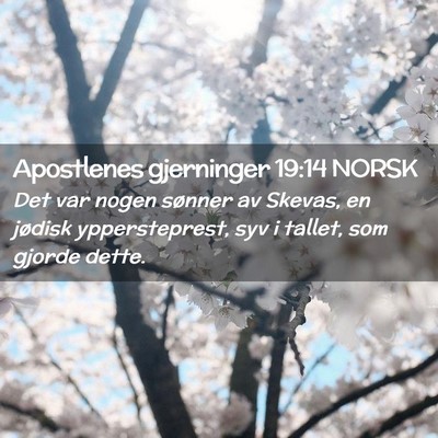 Picture 02 - Apostlenes gjerninger 19:14 NORSK - Det var nogen sønner av Skevas, en jødisk - Bible Verse Picture