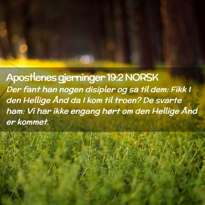 Picture 02 - Apostlenes gjerninger 19:2 NORSK - Der fant han nogen disipler og sa til dem: Fikk I - Bible Verse Picture