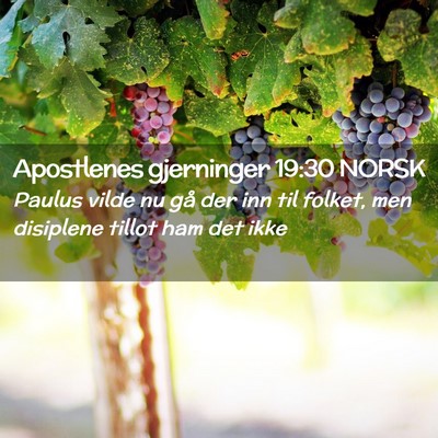 Picture 02 - Apostlenes gjerninger 19:30 NORSK - Paulus vilde nu gå der inn til folket, men - Bible Verse Picture