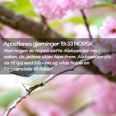Picture 02 - Apostlenes gjerninger 19:33 NORSK - Men nogen av hopen satte Aleksander inn i saken, - Bible Verse Picture