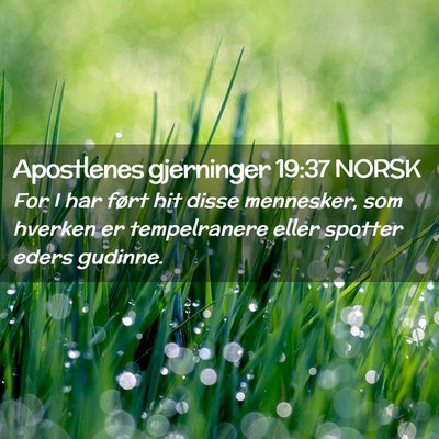 Picture 02 - Apostlenes gjerninger 19:37 NORSK - For I har ført hit disse mennesker, som hverken - Bible Verse Picture