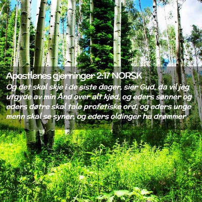 Picture 02 - Apostlenes gjerninger 2:17 NORSK - Og det skal skje i de siste dager, sier Gud, da - Bible Verse Picture
