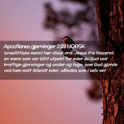 Picture 02 - Apostlenes gjerninger 2:22 NORSK - Israelittiske menn! hør disse ord: Jesus fra - Bible Verse Picture