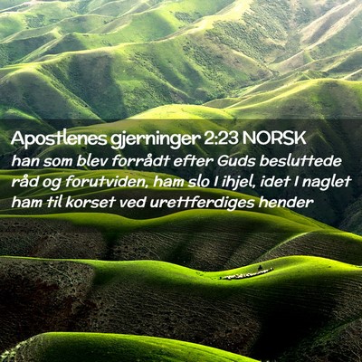 Picture 02 - Apostlenes gjerninger 2:23 NORSK - han som blev forrådt efter Guds besluttede råd - Bible Verse Picture