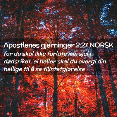 Picture 02 - Apostlenes gjerninger 2:27 NORSK - for du skal ikke forlate min sjel i dødsriket, - Bible Verse Picture