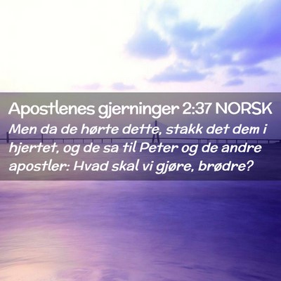 Picture 02 - Apostlenes gjerninger 2:37 NORSK - Men da de hørte dette, stakk det dem i hjertet, - Bible Verse Picture