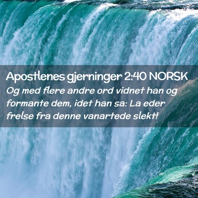 Picture 02 - Apostlenes gjerninger 2:40 NORSK - Og med flere andre ord vidnet han og formante - Bible Verse Picture