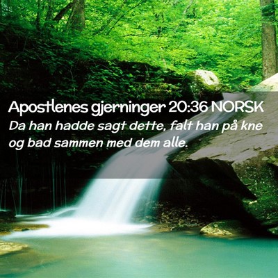 Picture 02 - Apostlenes gjerninger 20:36 NORSK - Da han hadde sagt dette, falt han på kne og bad - Bible Verse Picture