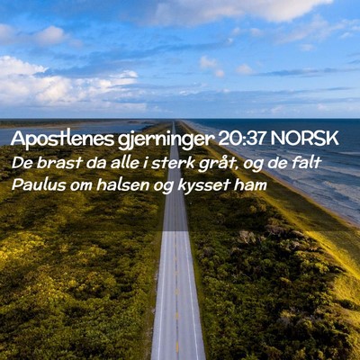 Picture 02 - Apostlenes gjerninger 20:37 NORSK - De brast da alle i sterk gråt, og de falt Paulus - Bible Verse Picture