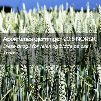 Picture 02 - Apostlenes gjerninger 20:5 NORSK - Disse drog i forveien og bidde på oss i - Bible Verse Picture