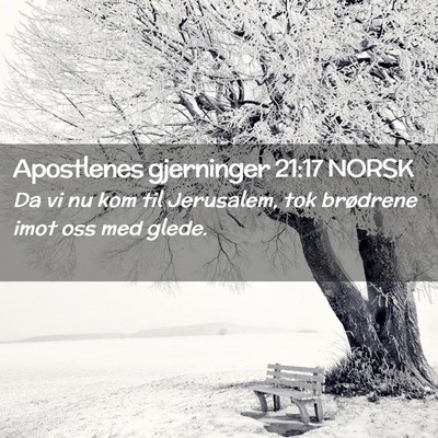 Picture 02 - Apostlenes gjerninger 21:17 NORSK - Da vi nu kom til Jerusalem, tok brødrene imot - Bible Verse Picture