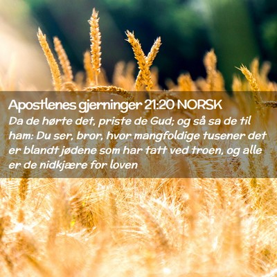 Picture 02 - Apostlenes gjerninger 21:20 NORSK - Da de hørte det, priste de Gud; og så sa de til - Bible Verse Picture