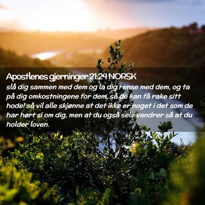 Picture 02 - Apostlenes gjerninger 21:24 NORSK - slå dig sammen med dem og la dig rense med dem, - Bible Verse Picture
