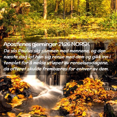 Picture 02 - Apostlenes gjerninger 21:26 NORSK - Da slo Paulus sig sammen med mennene, og den - Bible Verse Picture