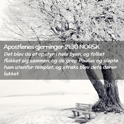 Picture 02 - Apostlenes gjerninger 21:30 NORSK - Det blev da et opstyr i hele byen, og folket - Bible Verse Picture
