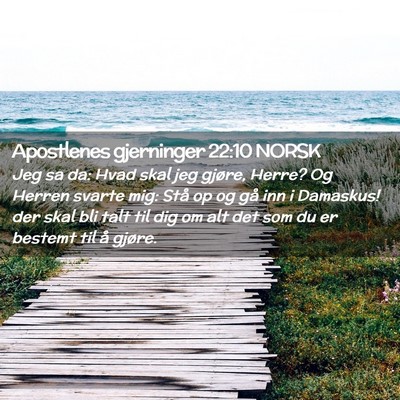 Picture 02 - Apostlenes gjerninger 22:10 NORSK - Jeg sa da: Hvad skal jeg gjøre, Herre? Og Herren - Bible Verse Picture