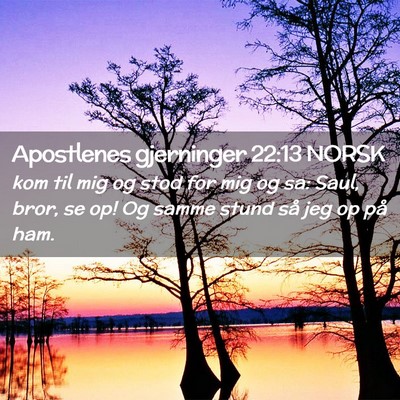 Picture 02 - Apostlenes gjerninger 22:13 NORSK - kom til mig og stod for mig og sa: Saul, bror, se - Bible Verse Picture