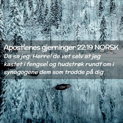 Picture 02 - Apostlenes gjerninger 22:19 NORSK - Da sa jeg: Herre! de vet selv at jeg kastet i - Bible Verse Picture