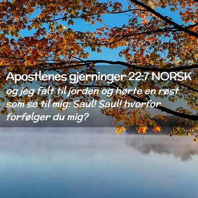 Picture 02 - Apostlenes gjerninger 22:7 NORSK - og jeg falt til jorden og hørte en røst som sa - Bible Verse Picture