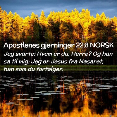 Picture 02 - Apostlenes gjerninger 22:8 NORSK - Jeg svarte: Hvem er du, Herre? Og han sa til mig: - Bible Verse Picture