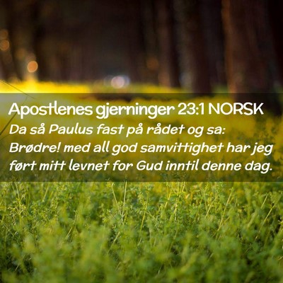 Picture 02 - Apostlenes gjerninger 23:1 NORSK - Da så Paulus fast på rådet og sa: Brødre! med - Bible Verse Picture