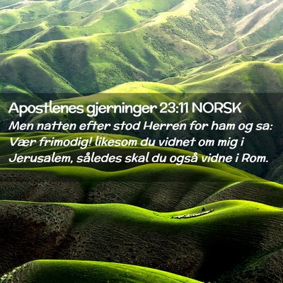 Picture 02 - Apostlenes gjerninger 23:11 NORSK - Men natten efter stod Herren for ham og sa: Vær - Bible Verse Picture