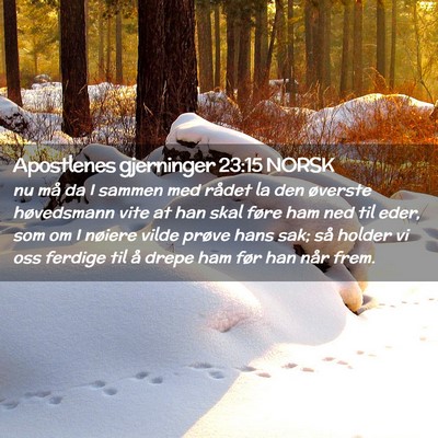 Picture 02 - Apostlenes gjerninger 23:15 NORSK - nu må da I sammen med rådet la den øverste - Bible Verse Picture