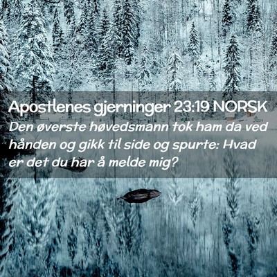 Picture 02 - Apostlenes gjerninger 23:19 NORSK - Den øverste høvedsmann tok ham da ved hånden - Bible Verse Picture