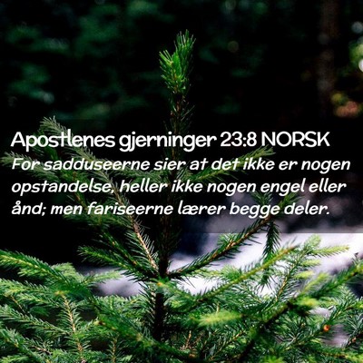 Picture 02 - Apostlenes gjerninger 23:8 NORSK - For sadduseerne sier at det ikke er nogen - Bible Verse Picture