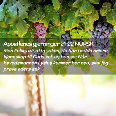 Picture 02 - Apostlenes gjerninger 24:22 NORSK - Men Feliks utsatte saken, da han hadde nøiere - Bible Verse Picture