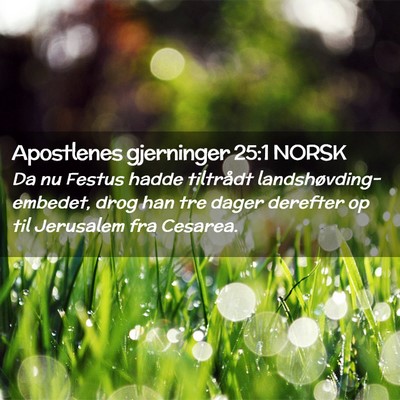 Picture 02 - Apostlenes gjerninger 25:1 NORSK - Da nu Festus hadde tiltrådt - Bible Verse Picture
