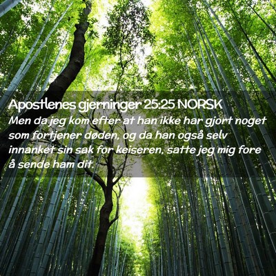 Picture 02 - Apostlenes gjerninger 25:25 NORSK - Men da jeg kom efter at han ikke har gjort noget - Bible Verse Picture
