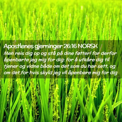 Picture 02 - Apostlenes gjerninger 26:16 NORSK - Men reis dig op og stå på dine føtter! for - Bible Verse Picture