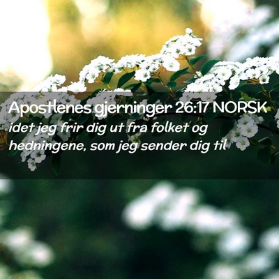 Picture 02 - Apostlenes gjerninger 26:17 NORSK - idet jeg frir dig ut fra folket og hedningene, - Bible Verse Picture