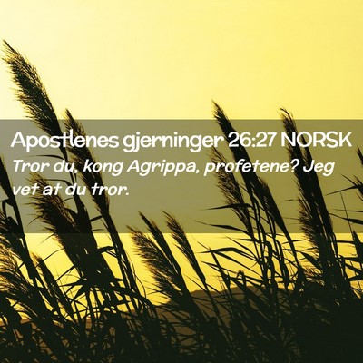 Picture 02 - Apostlenes gjerninger 26:27 NORSK - Tror du, kong Agrippa, profetene? Jeg vet at du - Bible Verse Picture