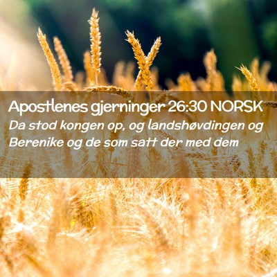 Picture 02 - Apostlenes gjerninger 26:30 NORSK - Da stod kongen op, og landshøvdingen og Berenike - Bible Verse Picture
