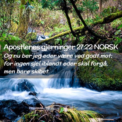 Picture 02 - Apostlenes gjerninger 27:22 NORSK - Og nu ber jeg eder være ved godt mot; for ingen - Bible Verse Picture