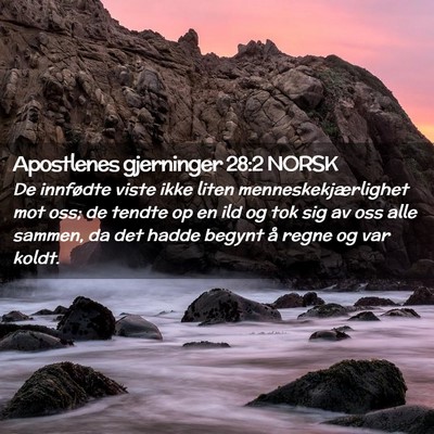 Picture 02 - Apostlenes gjerninger 28:2 NORSK - De innfødte viste ikke liten menneskekjærlighet - Bible Verse Picture