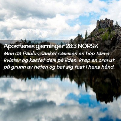 Picture 02 - Apostlenes gjerninger 28:3 NORSK - Men da Paulus sanket sammen en hop tørre kvister - Bible Verse Picture
