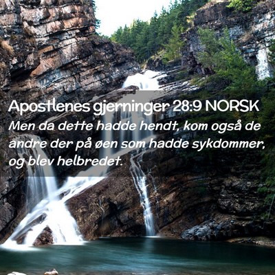 Picture 02 - Apostlenes gjerninger 28:9 NORSK - Men da dette hadde hendt, kom også de andre der - Bible Verse Picture