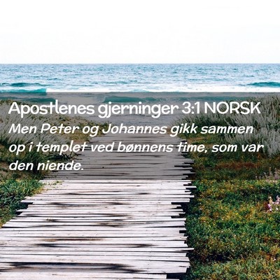 Picture 02 - Apostlenes gjerninger 3:1 NORSK - Men Peter og Johannes gikk sammen op i templet - Bible Verse Picture