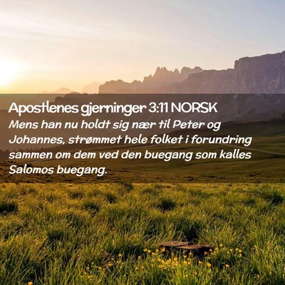 Picture 02 - Apostlenes gjerninger 3:11 NORSK - Mens han nu holdt sig nær til Peter og Johannes, - Bible Verse Picture