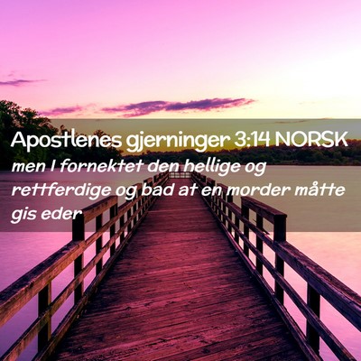 Picture 02 - Apostlenes gjerninger 3:14 NORSK - men I fornektet den hellige og rettferdige og bad - Bible Verse Picture