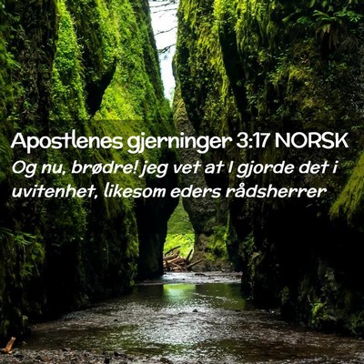 Picture 02 - Apostlenes gjerninger 3:17 NORSK - Og nu, brødre! jeg vet at I gjorde det i - Bible Verse Picture