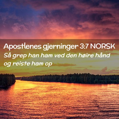 Picture 02 - Apostlenes gjerninger 3:7 NORSK - Så grep han ham ved den høire hånd og reiste - Bible Verse Picture