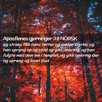 Picture 02 - Apostlenes gjerninger 3:8 NORSK - og straks fikk hans føtter og ankler styrke, og - Bible Verse Picture