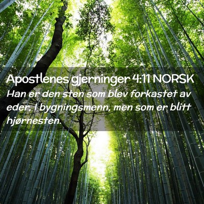 Picture 02 - Apostlenes gjerninger 4:11 NORSK - Han er den sten som blev forkastet av eder, I - Bible Verse Picture