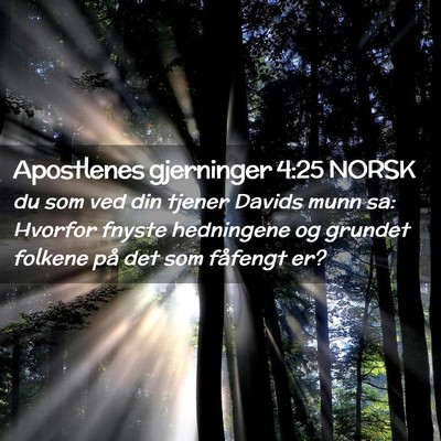Picture 02 - Apostlenes gjerninger 4:25 NORSK - du som ved din tjener Davids munn sa: Hvorfor - Bible Verse Picture